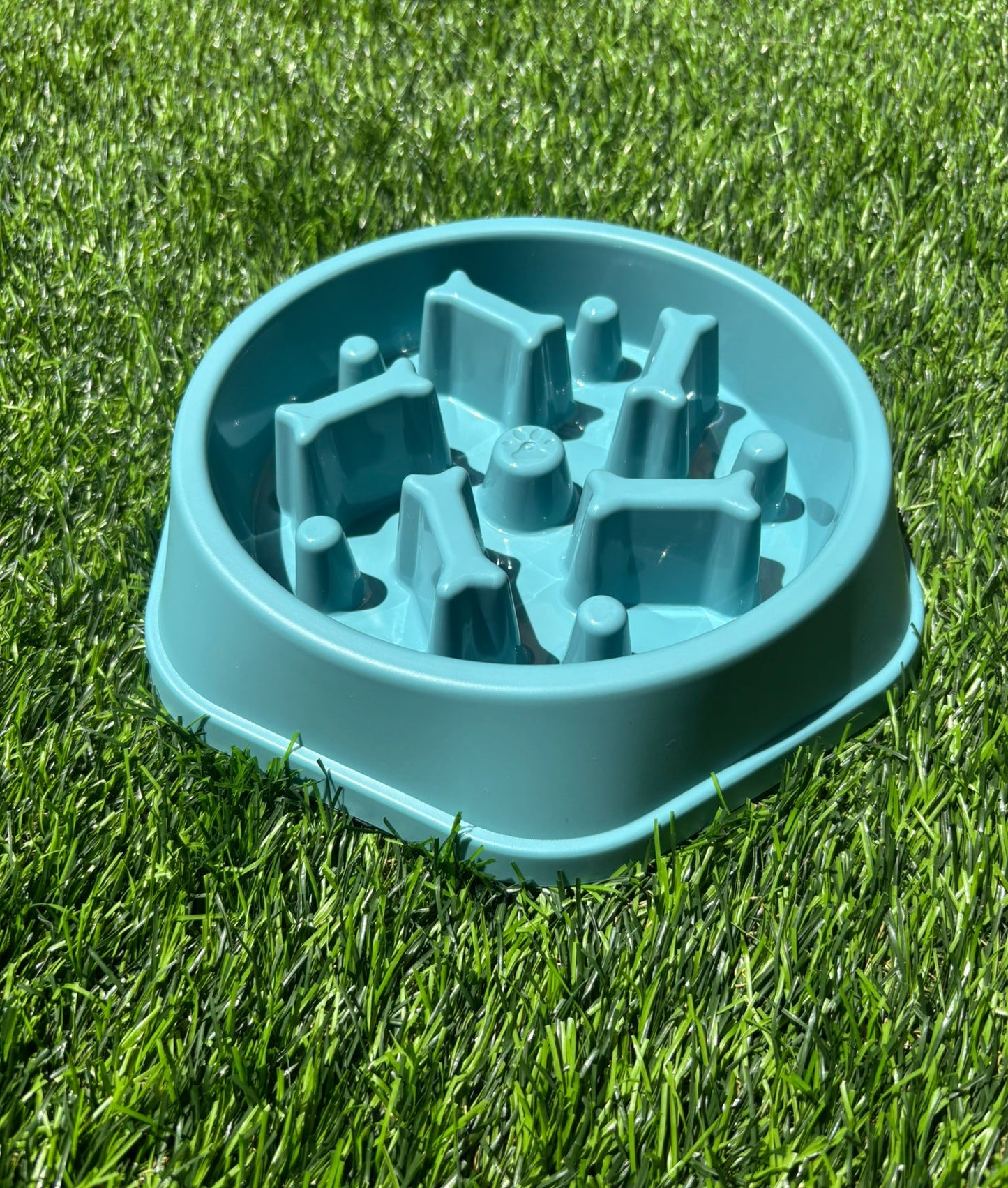 קערת האכלה איטית