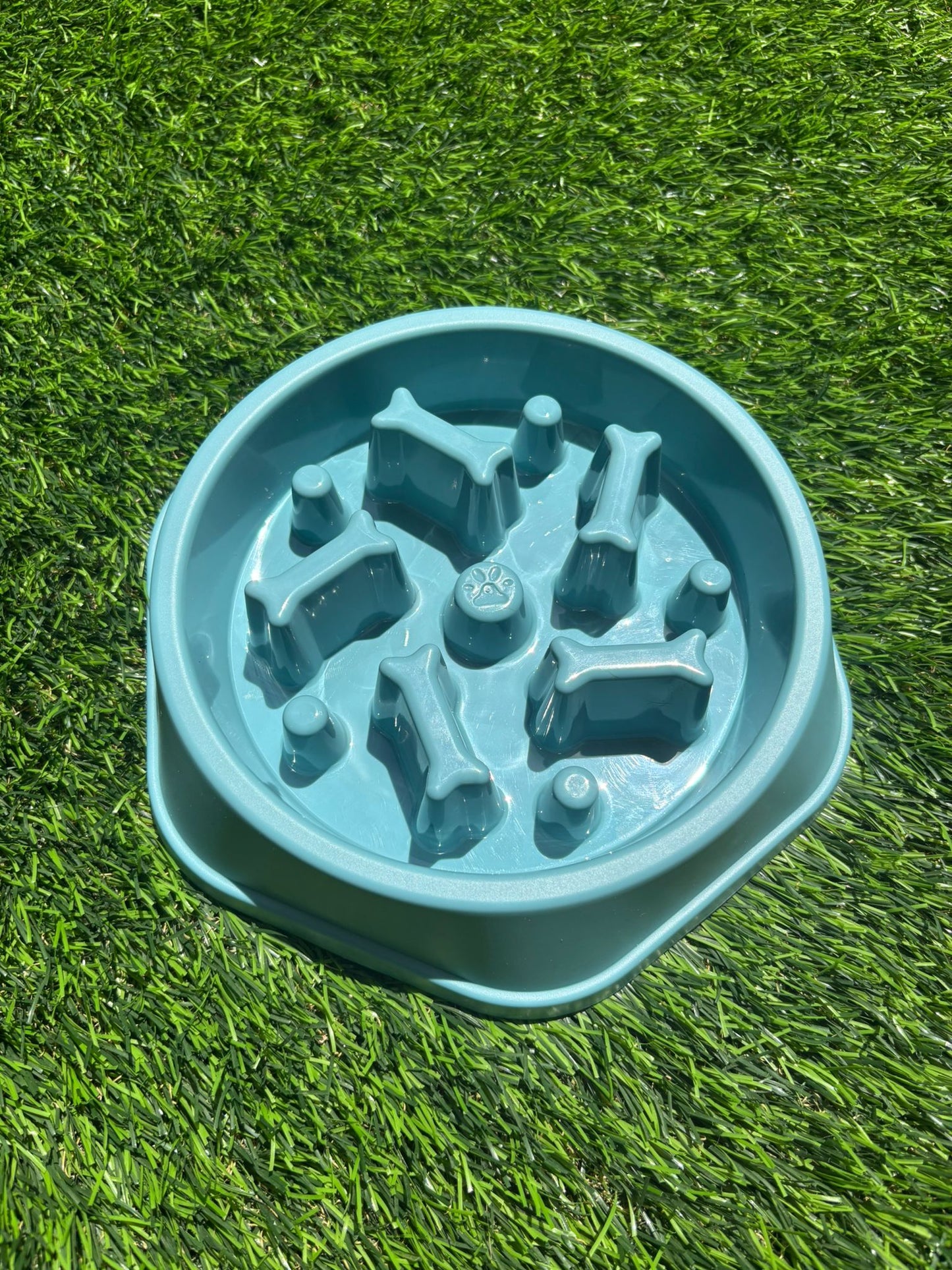 קערת האכלה איטית