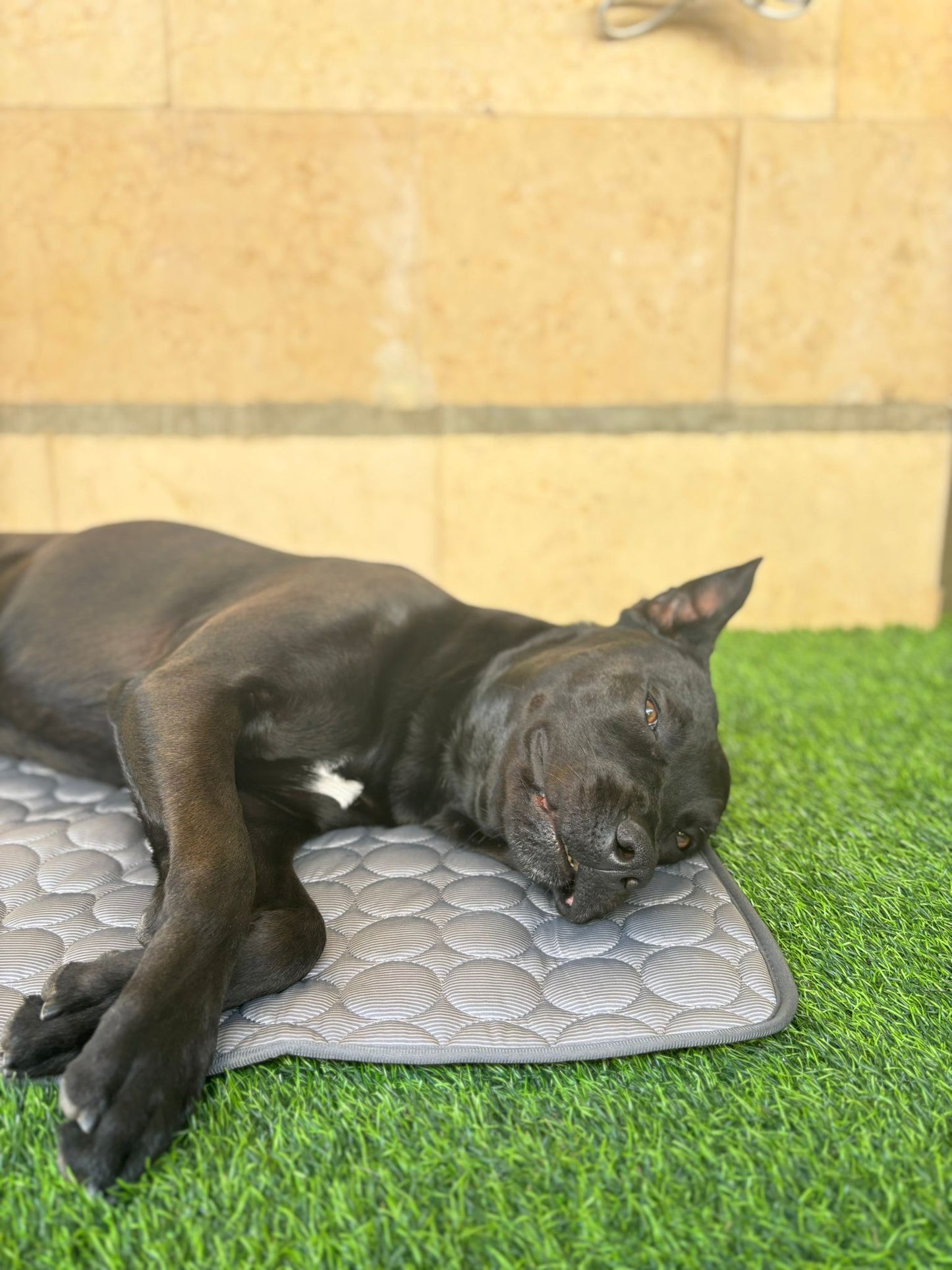 משטח קירור – לפינוק אמיתי בימי הקיץ החמים