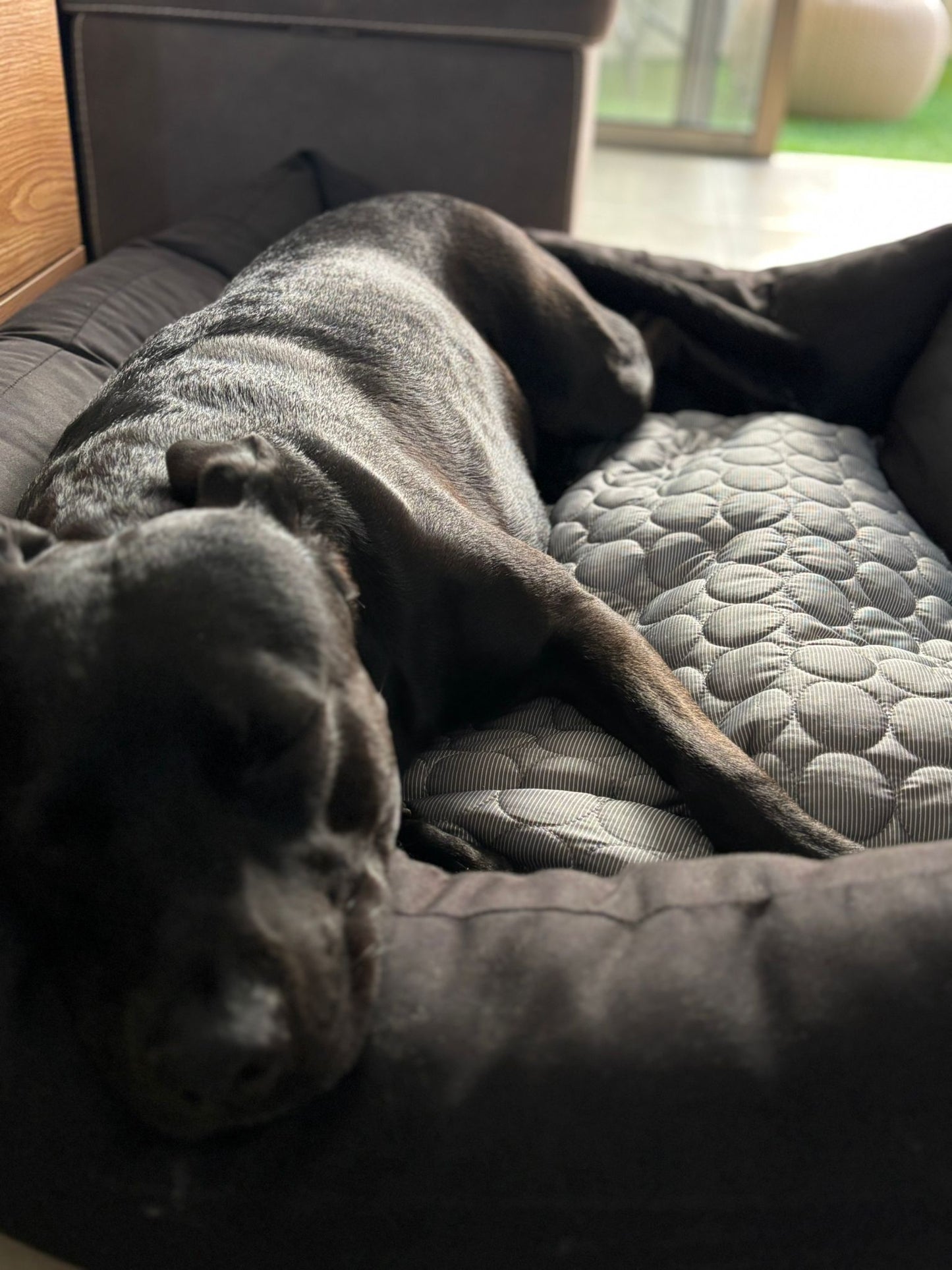 משטח קירור – לפינוק אמיתי בימי הקיץ החמים