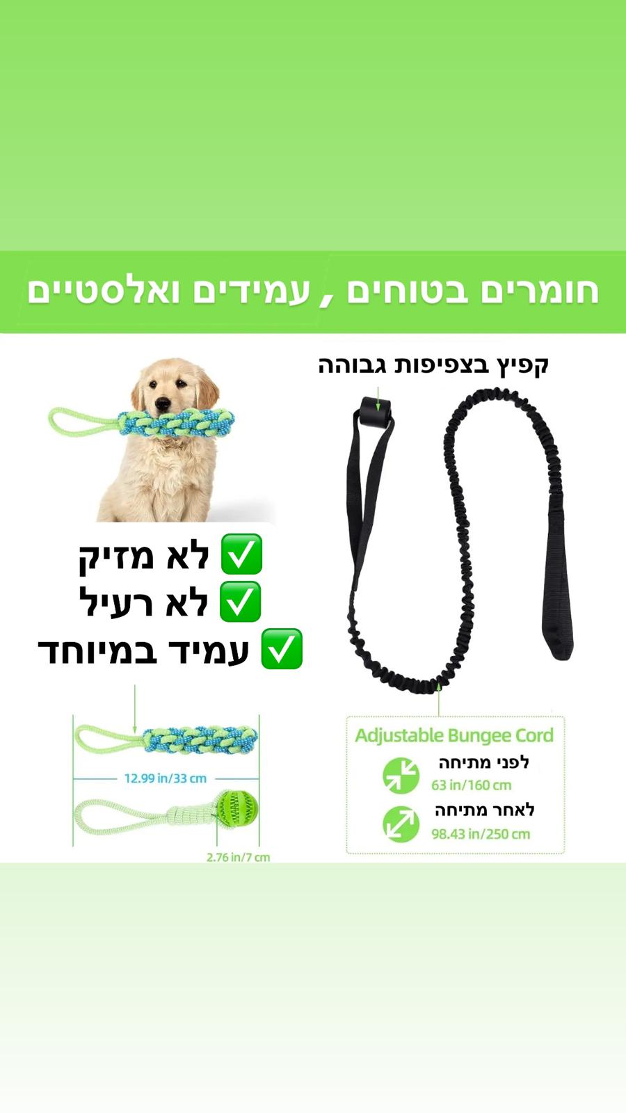 טאגו - משחק צייד לכלב