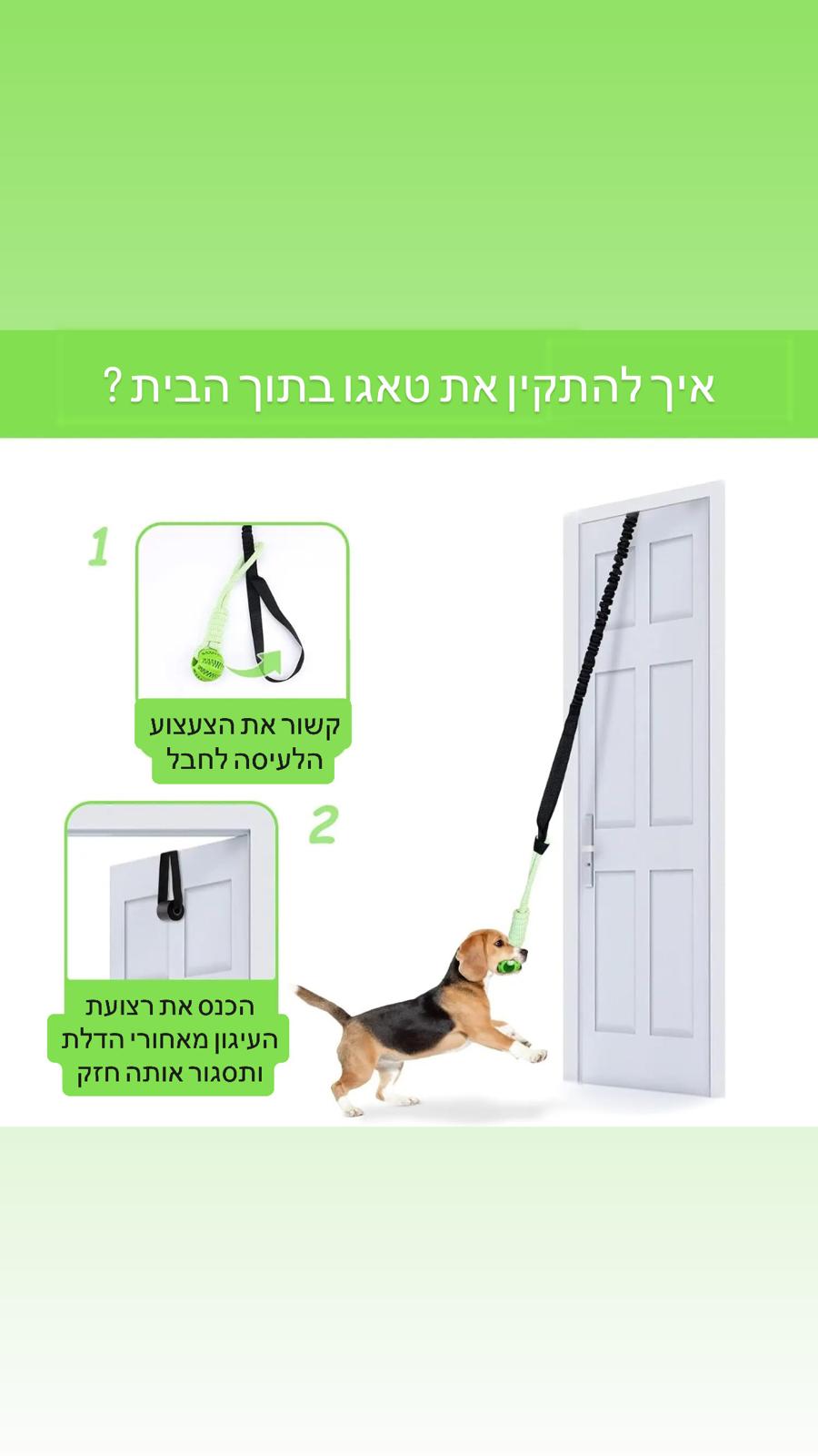 טאגו - משחק צייד לכלב