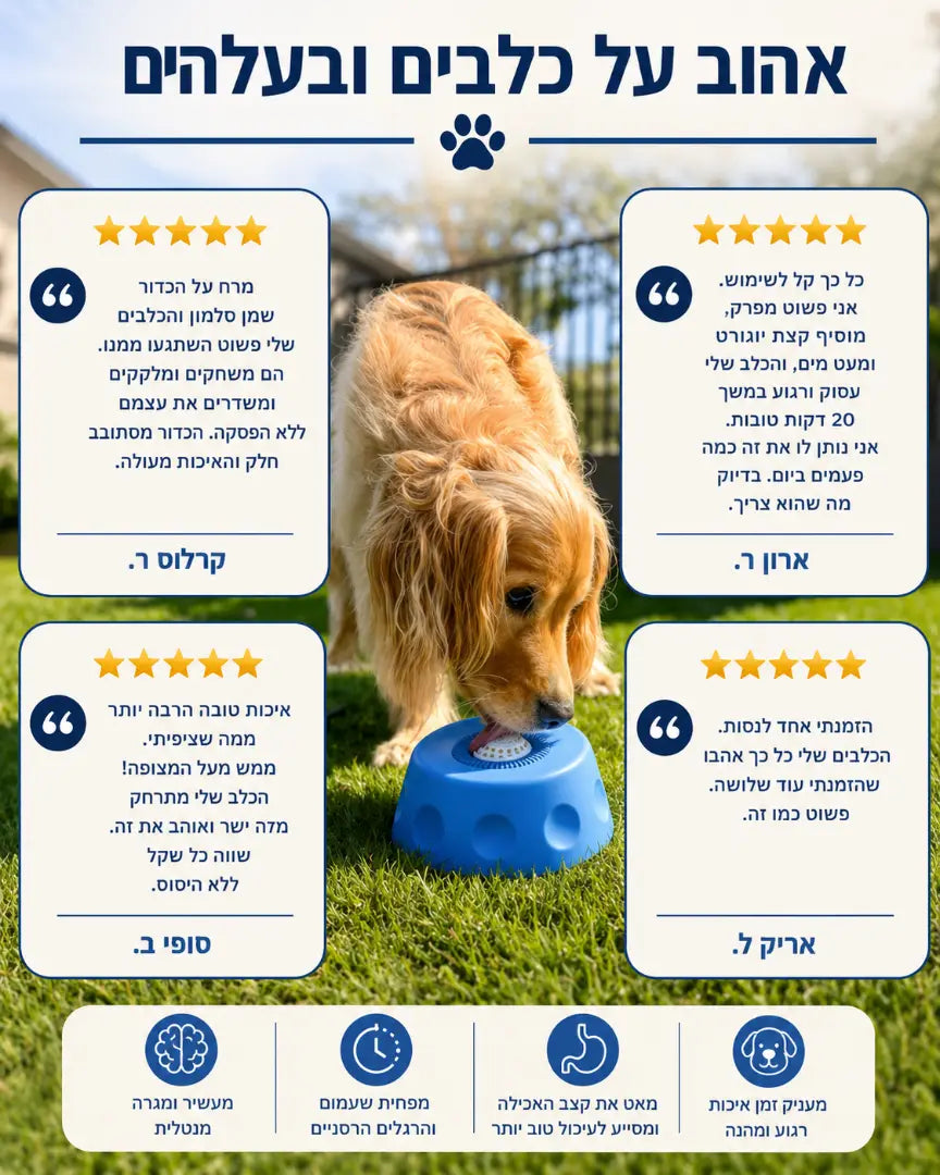 קערת העשרה וליקוק לכלבים