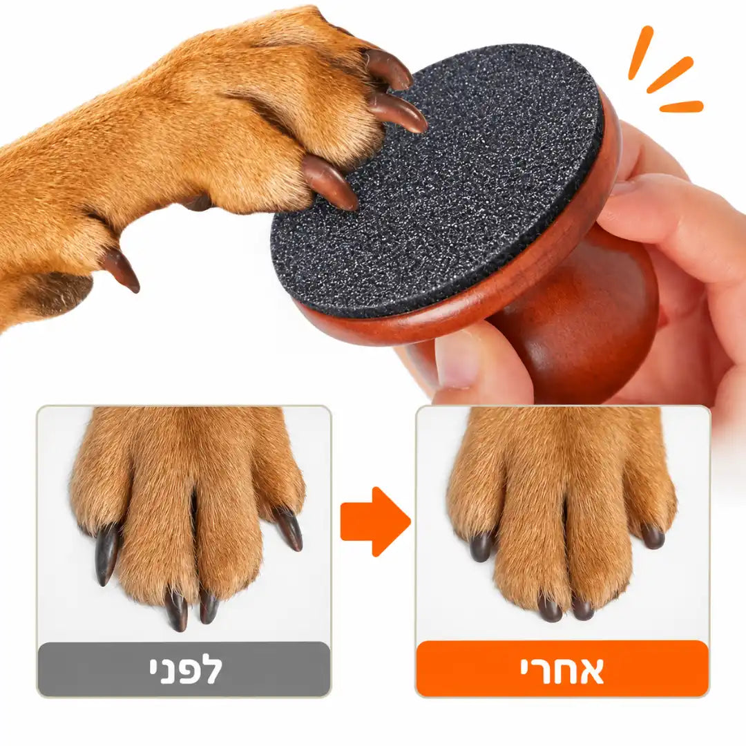 משייף ציפורניים לרגליים האחוריות