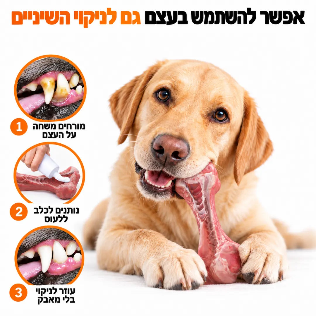 עצם לעיסה חזקה במראה אמיתי