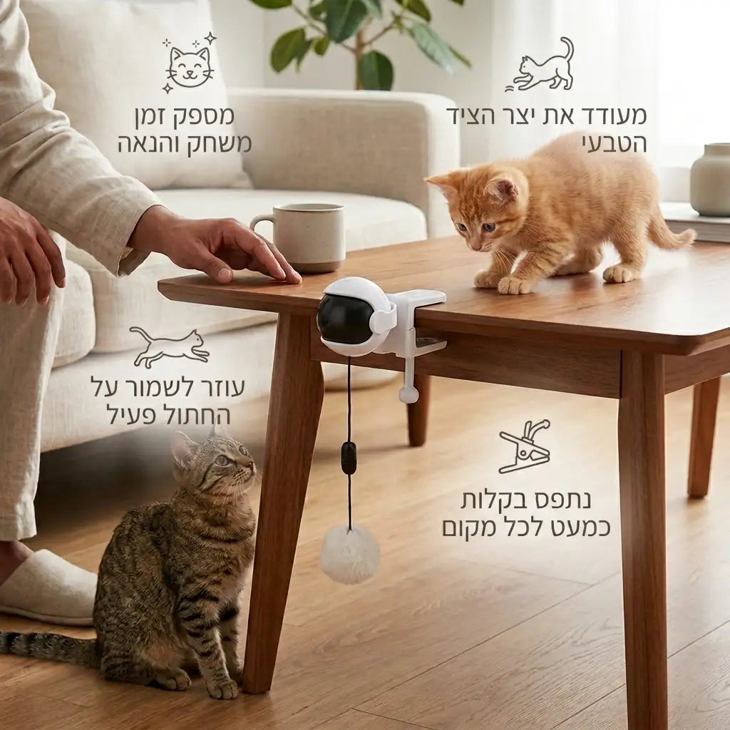 משחק צייד לחתולים