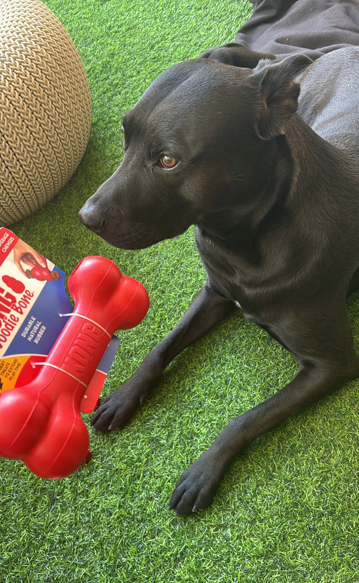 עצם האכלה איטית