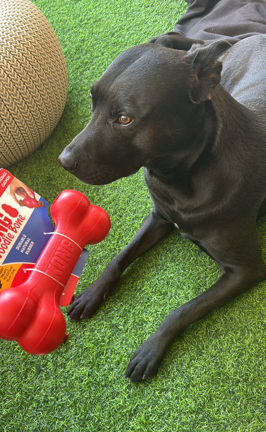 עצם האכלה איטית