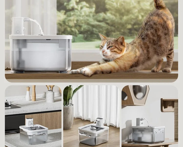 מזרקה אוטומטית 2.5 ליטר – למים נקיים וטריים