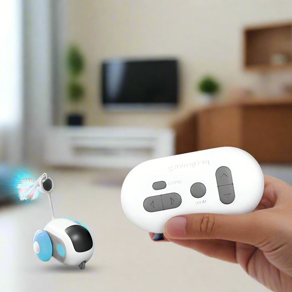 צעצוע אינטראקטיבי עם שלט לחתולים וכלבים קטנים