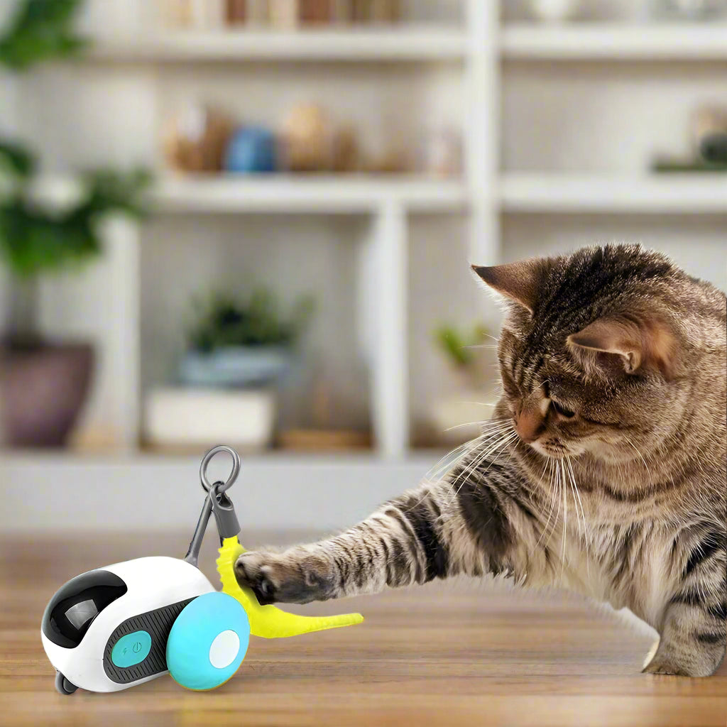 צעצוע אינטראקטיבי עם שלט לחתולים וכלבים קטנים