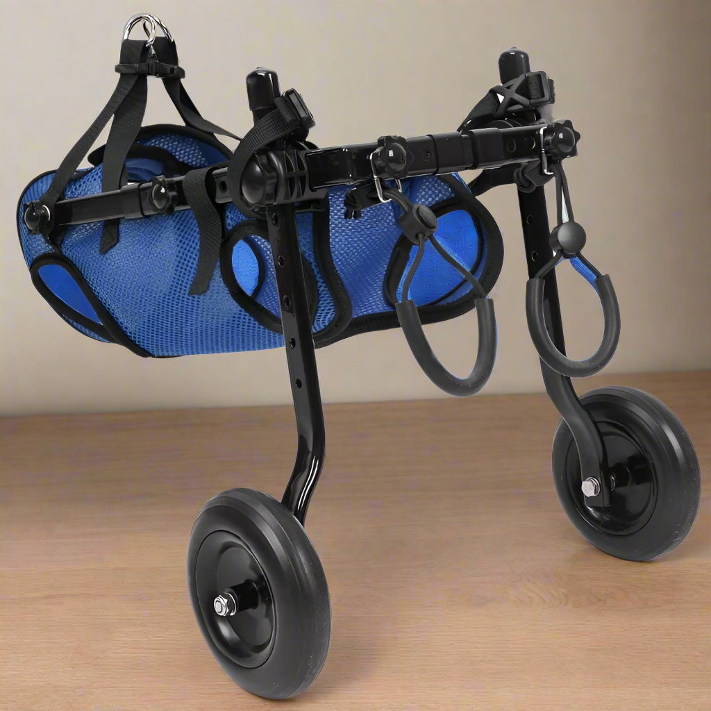 כיסא גלגלים שיקומי לחיות מחמד