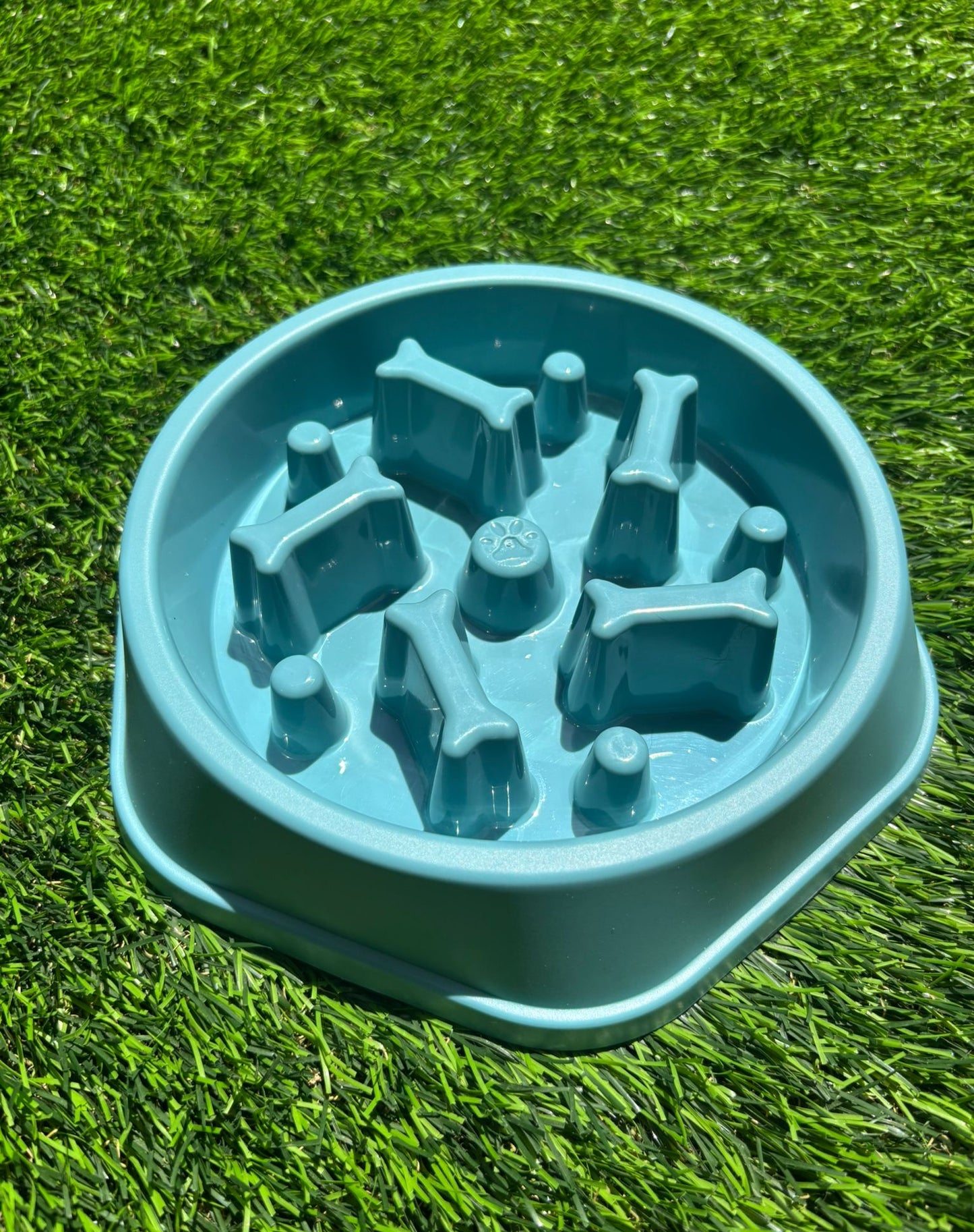 קערת האכלה איטית