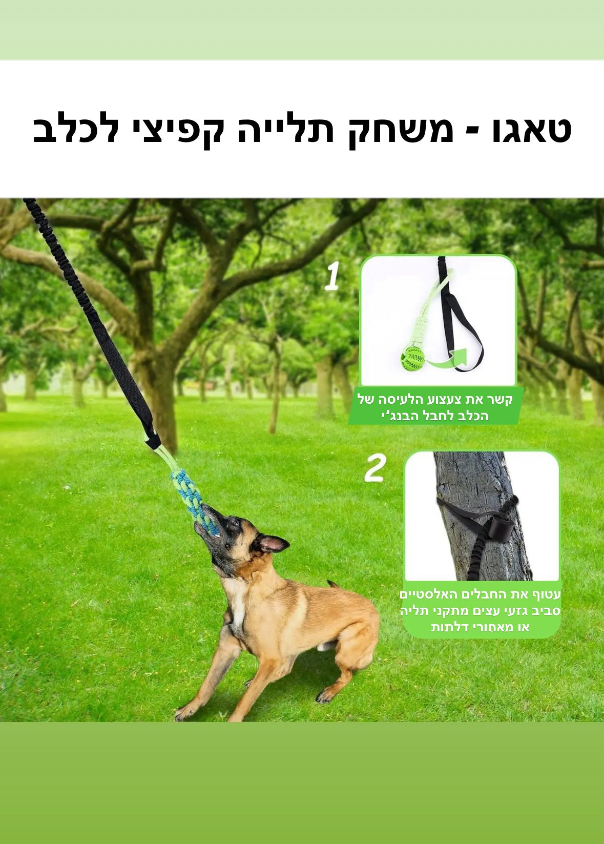 טאגו - משחק צייד לכלב