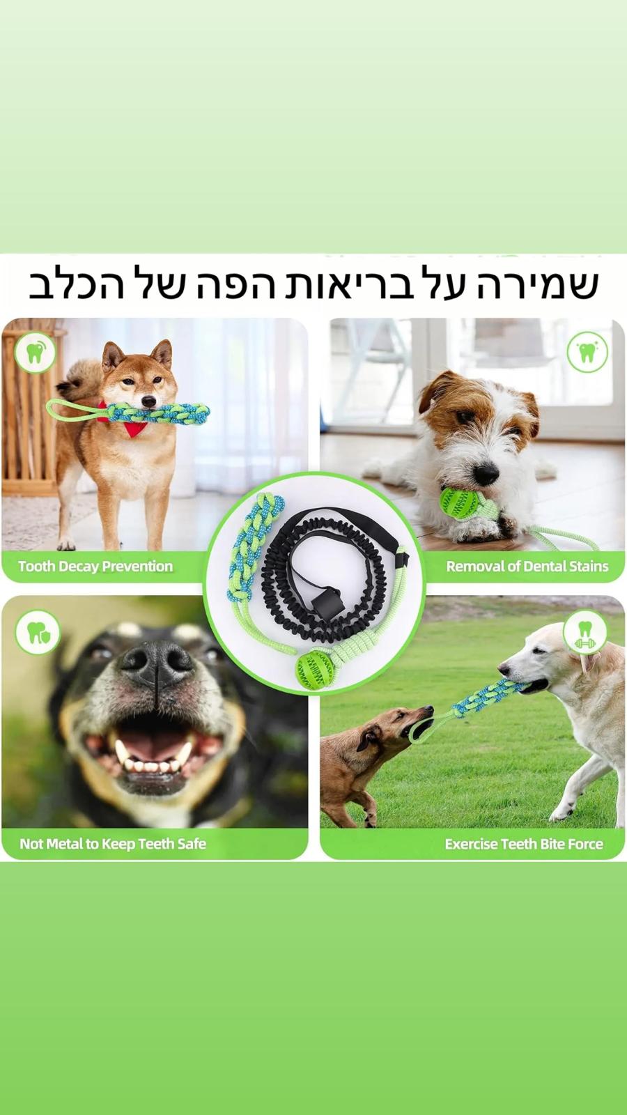 טאגו - משחק צייד לכלב