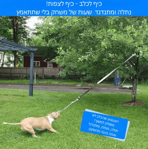 טאגו - משחק צייד לכלב