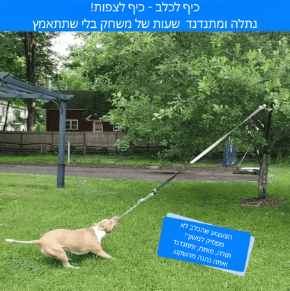 טאגו - משחק צייד לכלב