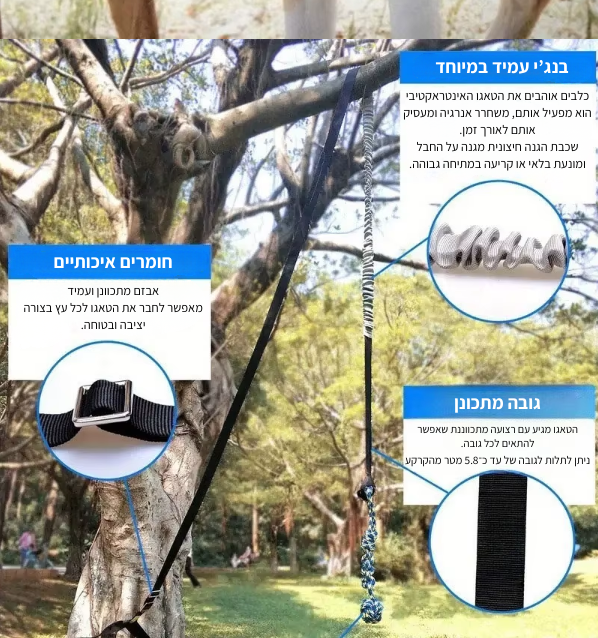 טאגו - משחק צייד לכלב