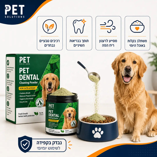 אבקה דנטלית להגיינת הפה וחיזוק השיניים