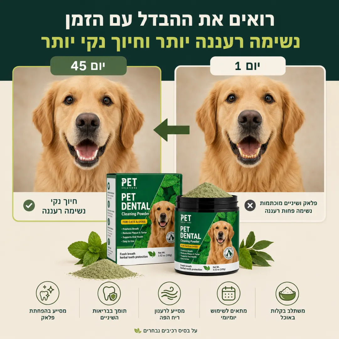 אבקה דנטלית להגיינת הפה וחיזוק השיניים