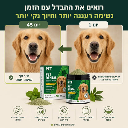 אבקה דנטלית להגיינת הפה וחיזוק השיניים