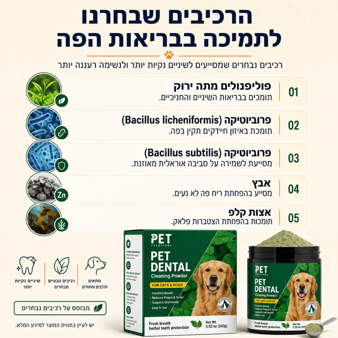 אבקה דנטלית להגיינת הפה וחיזוק השיניים
