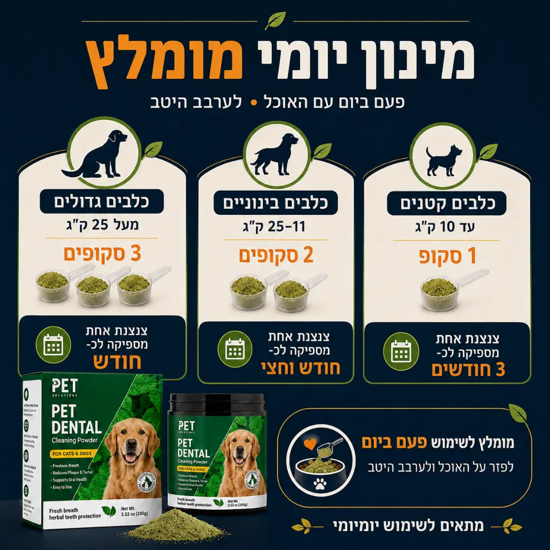 אבקה דנטלית להגיינת הפה וחיזוק השיניים