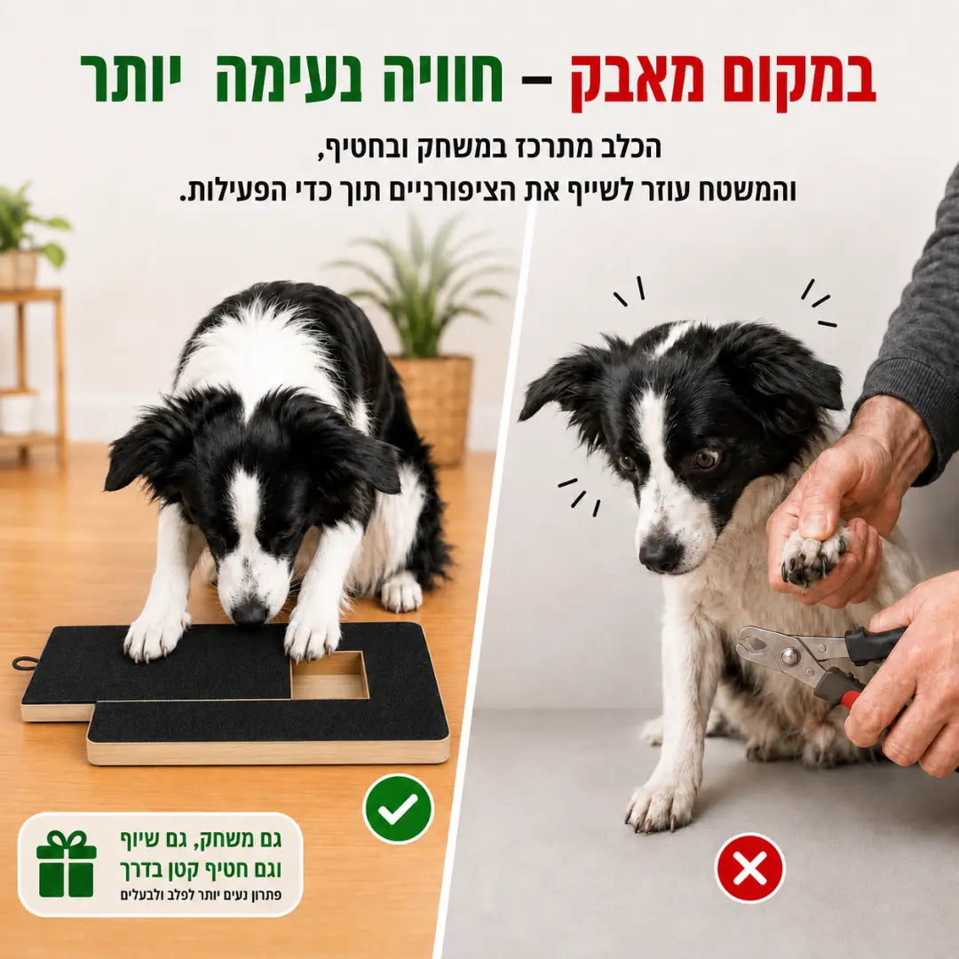 משטח גירוד לשיוף ציפורניים