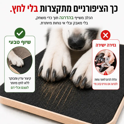 משטח גירוד לשיוף ציפורניים