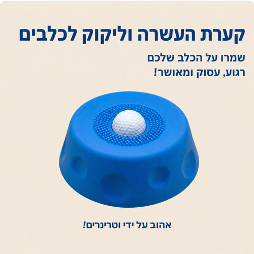 קערת העשרה וליקוק לכלבים