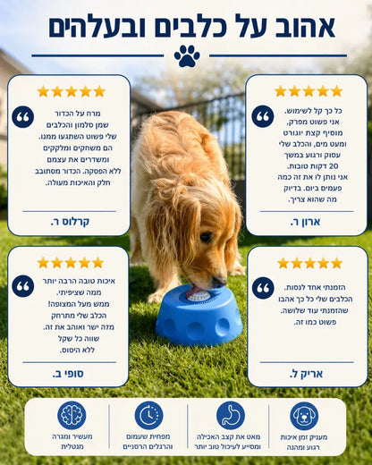 קערת העשרה וליקוק לכלבים