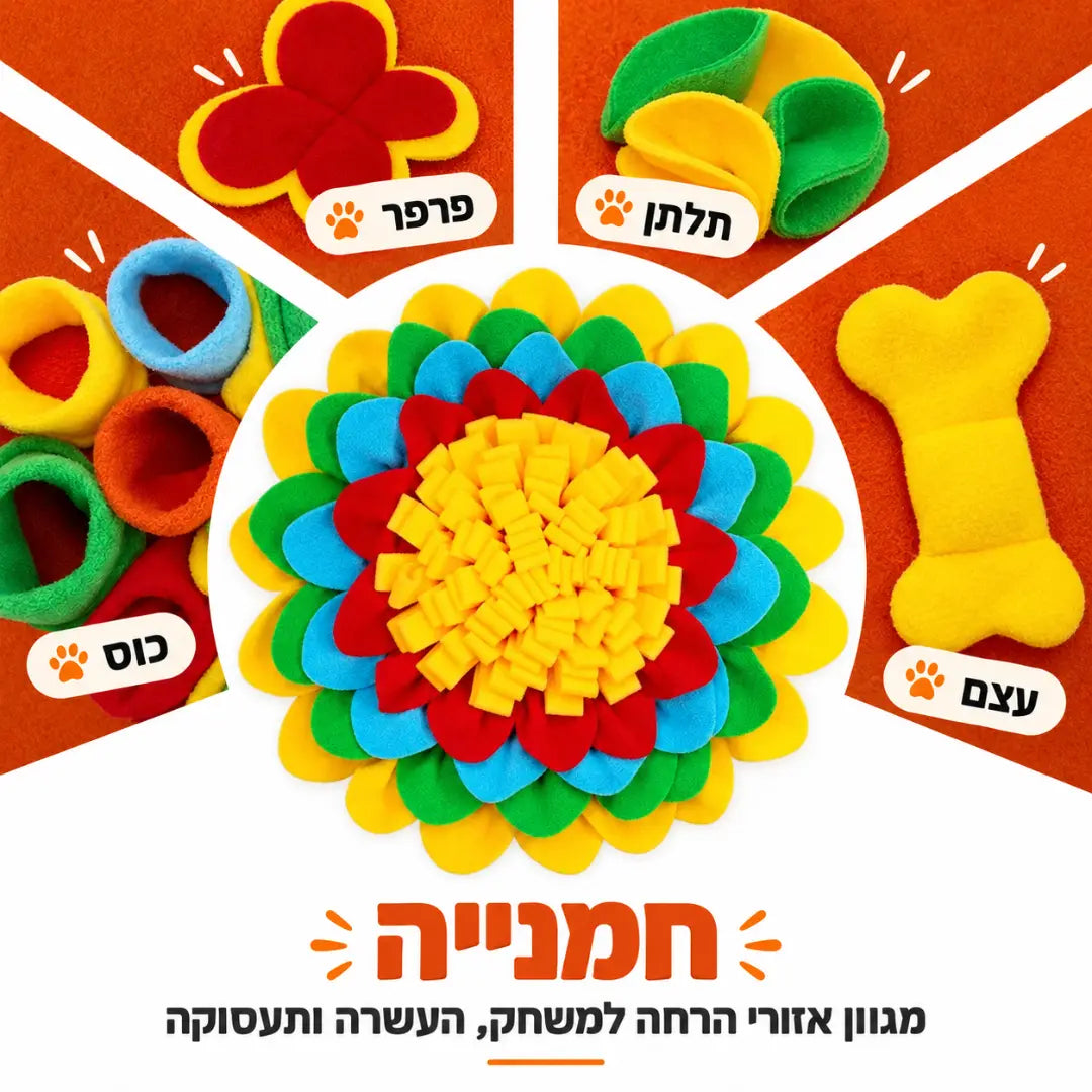 משחק הרחה והעשרה לכלבים