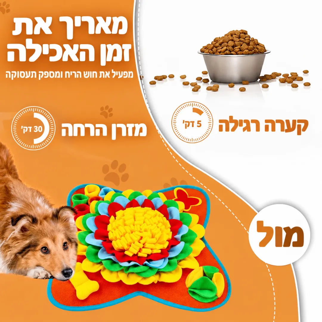 משחק הרחה והעשרה לכלבים