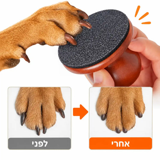 משייף ציפורניים לרגליים האחוריות