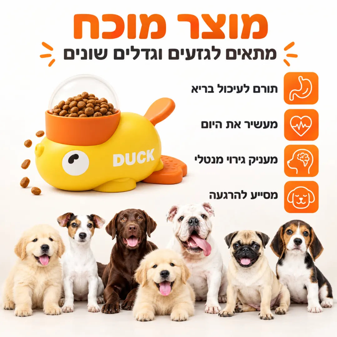 ברווז האכלה אינטראקטיבי