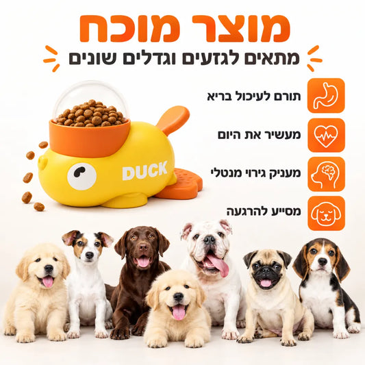 ברווז האכלה אינטראקטיבי