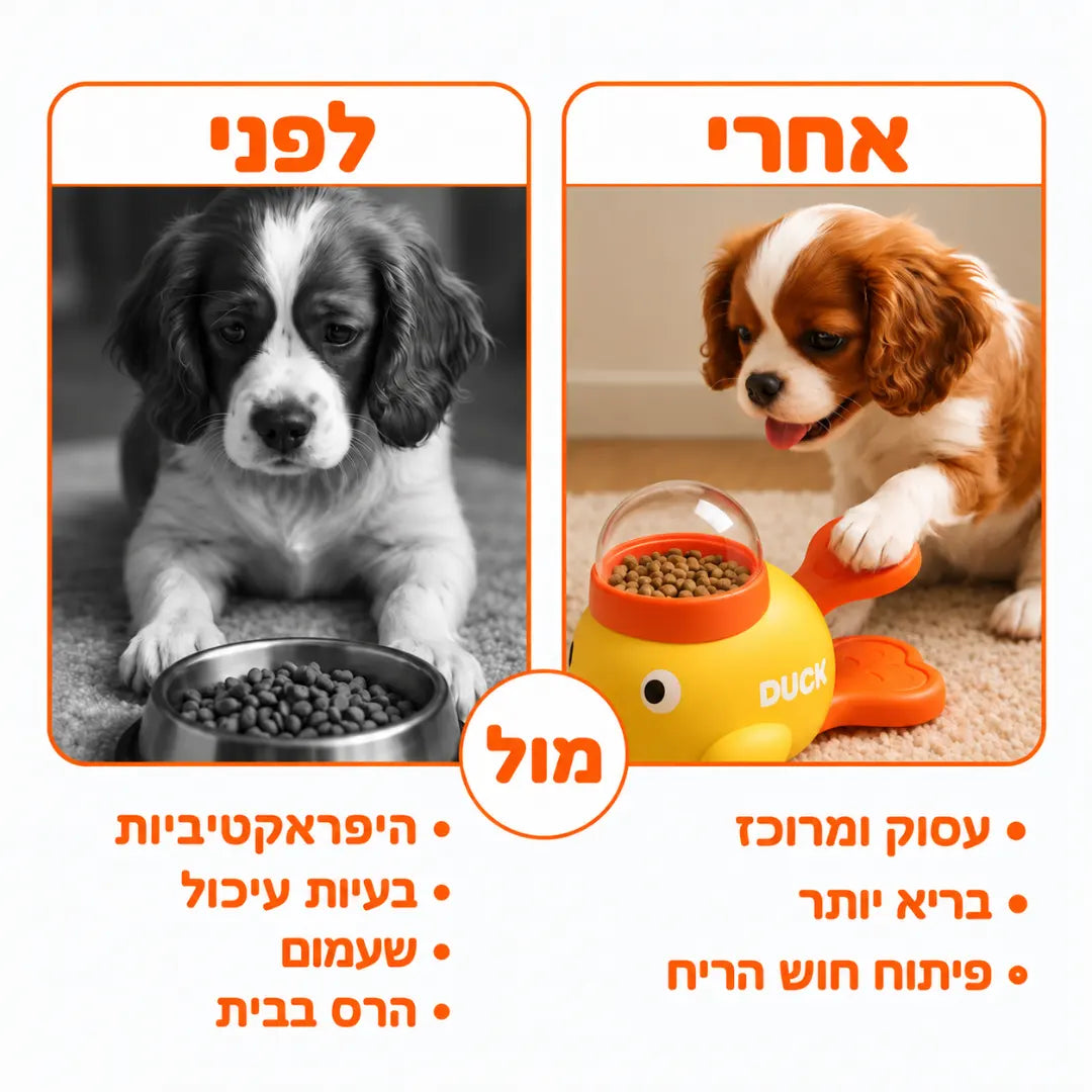 ברווז האכלה אינטראקטיבי
