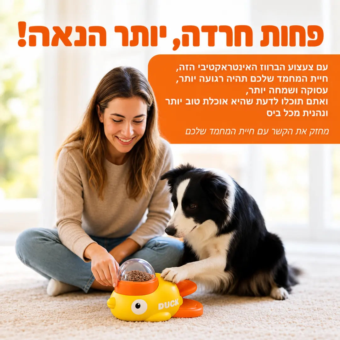 ברווז האכלה אינטראקטיבי