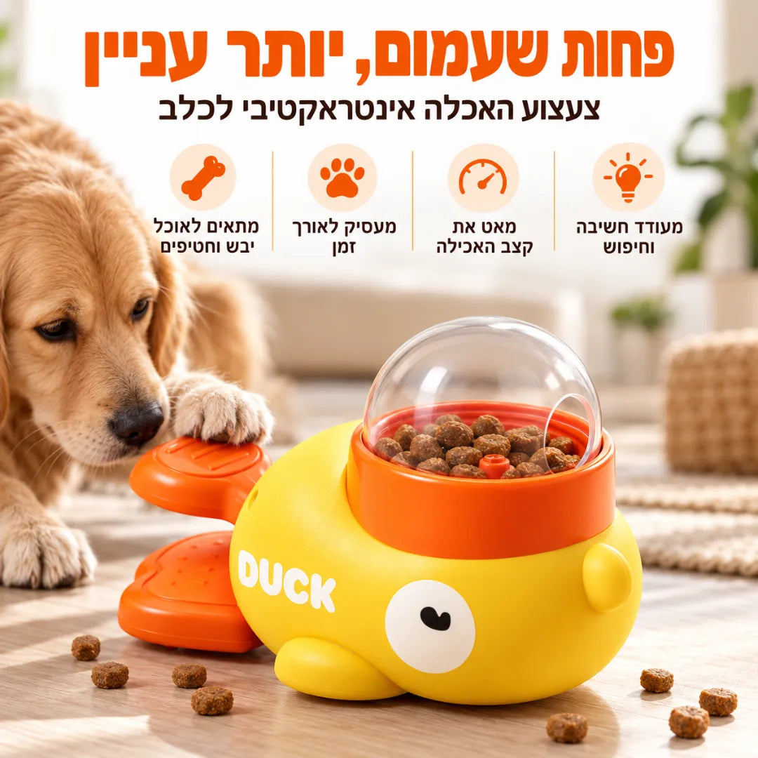 ברווז האכלה אינטראקטיבי