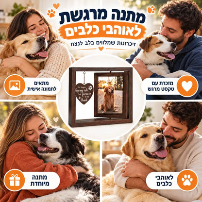 מארז הנצחה אישי לחתול ולכלב