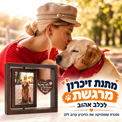 מארז הנצחה אישי לחתול ולכלב