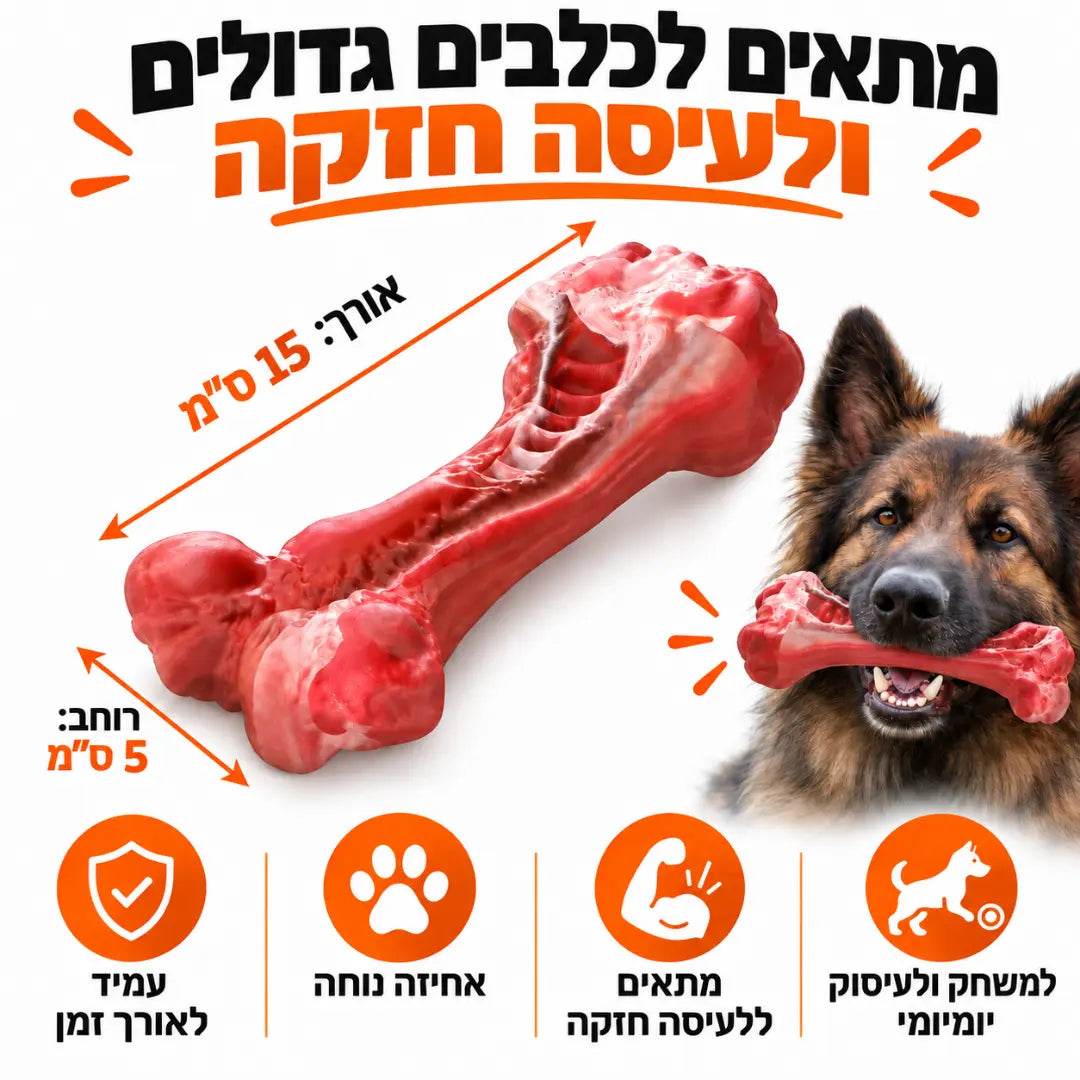 עצם לעיסה חזקה במראה אמיתי