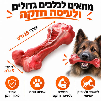 עצם לעיסה חזקה במראה אמיתי