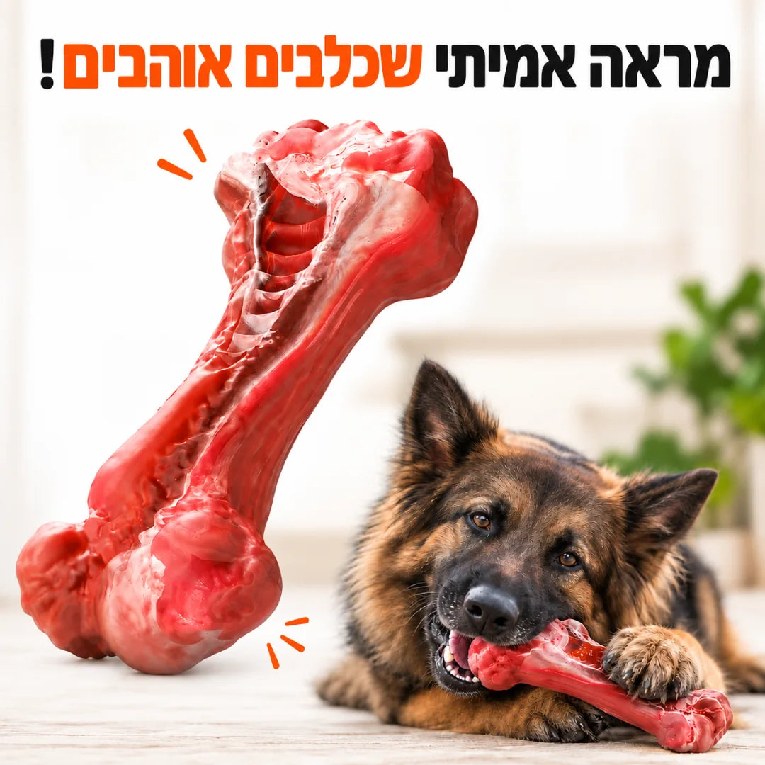 עצם לעיסה חזקה במראה אמיתי
