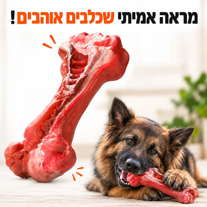 עצם לעיסה חזקה במראה אמיתי