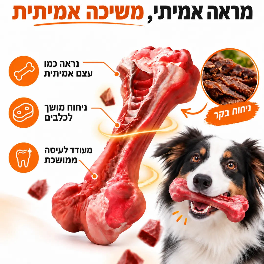 עצם לעיסה חזקה במראה אמיתי