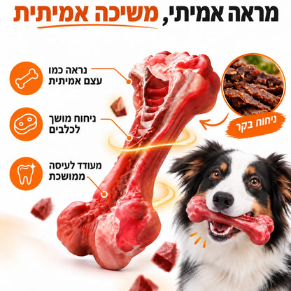 עצם לעיסה חזקה במראה אמיתי