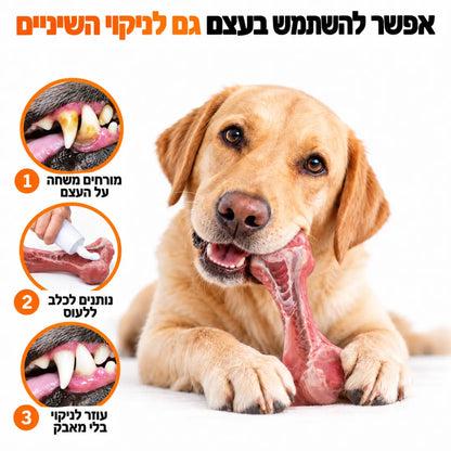 עצם לעיסה חזקה במראה אמיתי