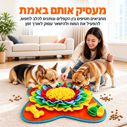 משחק הרחה והעשרה לכלבים