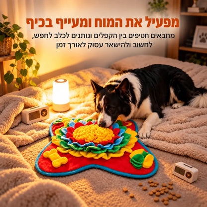 משחק הרחה והעשרה לכלבים